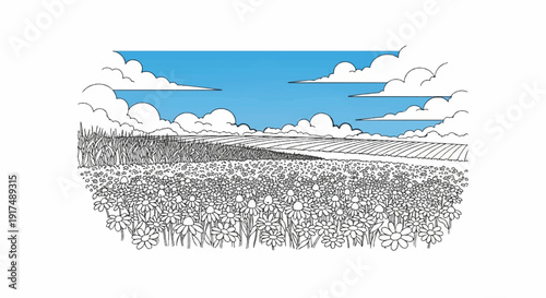 Blooming field under a cloudy sky with distant plowed fields