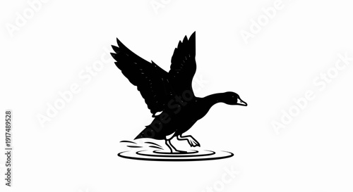 Black silhouette of a bird with outstretched wings landing on water