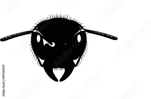 Close up black and white illustration of an ant's head with antennae and mandibles
