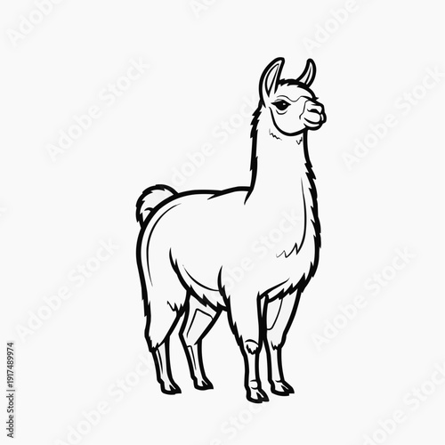 A stylized drawing of a standing llama with a long neck and distinctive ears.
