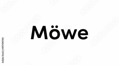 Bold black text on a white background spells out "Möwe