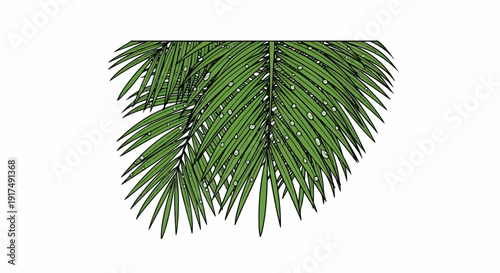 Close-up of a green palm frond with water droplets