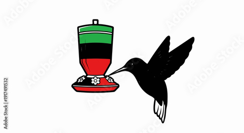 Black hummingbird feeding from a colorful feeder