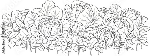 Black and white line drawing of a dense arrangement of leafy vegetables