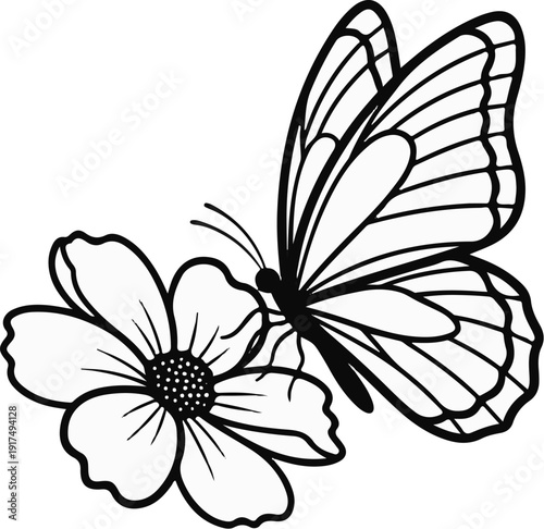 Delicate butterfly landing on a single, five-petaled flower