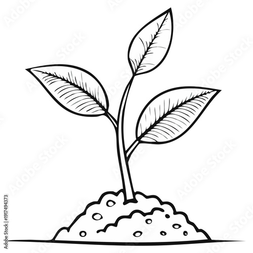 Hand Drawn Sketch of a Young Plant Sprouting from Soil Representing Growth and New Beginnings