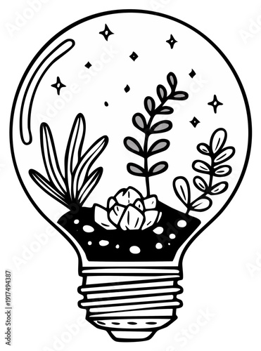 Lightbulb terrarium with succulent plants and starry sky illustration