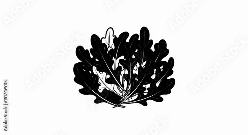 Bunch of dark, leafy greens on a white background