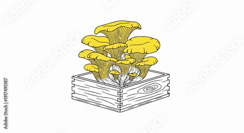 Bunch of golden mushrooms sprouting from a wooden crate with a wood grain pattern