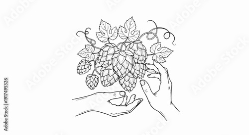 Delicate hands reach out to a cluster of ripe hops and leaves