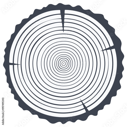 Tree Trunk Cross Section Growth Rings Wood Cut Timber Logging Circle
