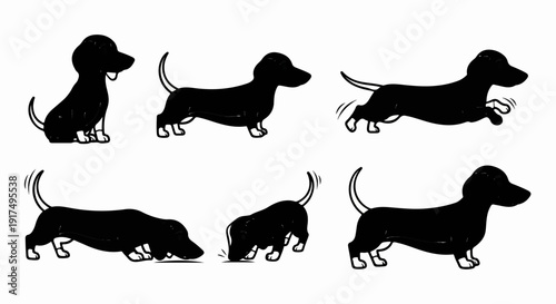 Collection of black silhouette dachshund dog poses on white background