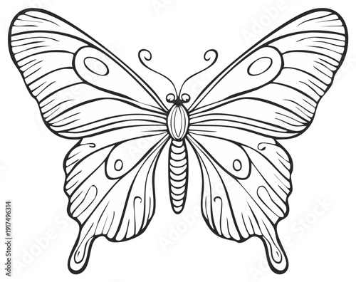 Intricate black and white line art of a butterfly with detailed wings and segmented body