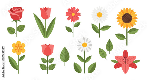 A vibrant collection of colorful flower illustrations including roses tulips and sunflowers on transparent background silhouette high quality professional detailed modern