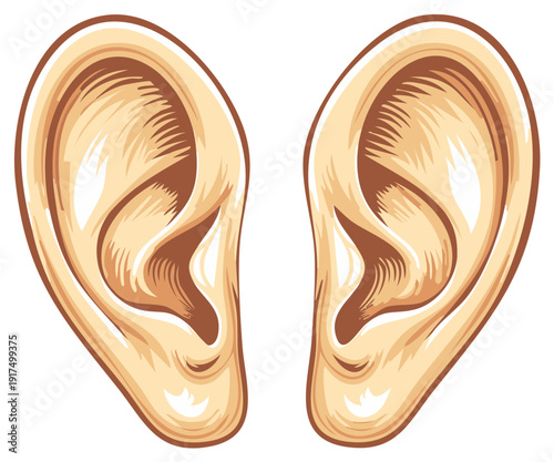 Illustrated pair of human ears with detailed anatomy, perfect for medical concepts.