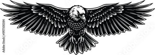 Frontal eagle in flight vector illustration, detailed black and white bird artwork, symmetrical wings design, wildlife symbol background pattern