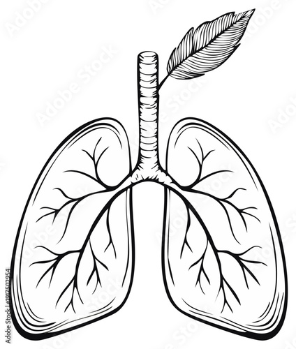 Conceptual Illustration of Human Lungs with a Feather for Healthy Breathing