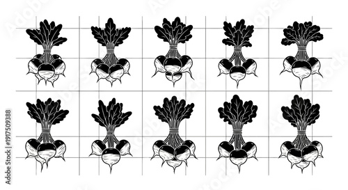 Black and white illustrations of turnips in a grid pattern on a white background
