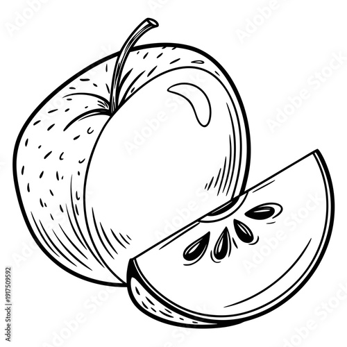 Hand drawn black and white vector illustration of a whole apple next to a single curved wedge slice displaying its inner seeds and stem detail