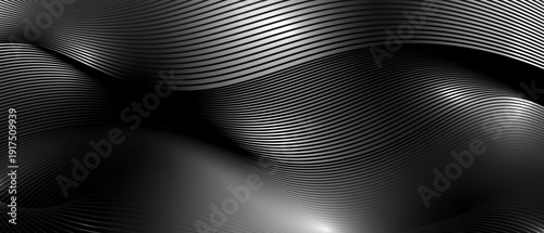 A minimalist modern black and white composition featuring soft, flowing lines.