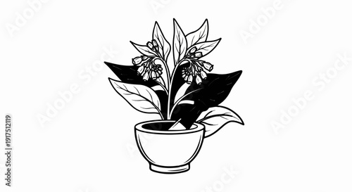 Black and white illustration of a potted plant with bell-shaped flowers