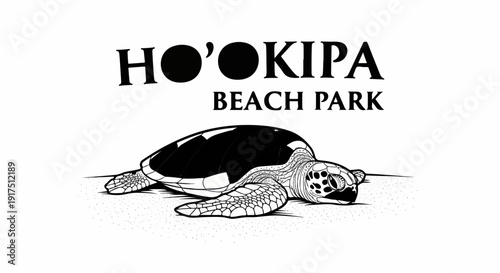 Black and white illustration of a sea turtle resting on a sandy beach