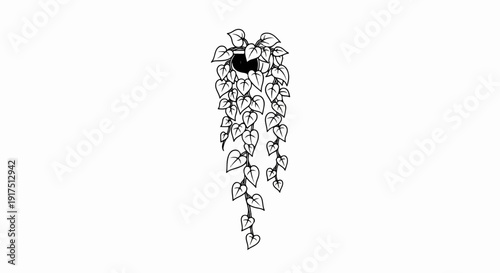 Black and white outline drawing of a cascading potted plant
