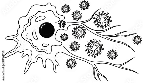 Cell absorbing microscopic viral particles