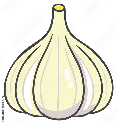 Simple vector illustration of a whole garlic bulb with soft shading and outlines