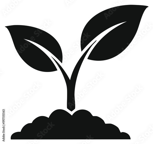 Growing Plant Seedling Sprout in Soil Germination and New Life beginning process Black vector illustration