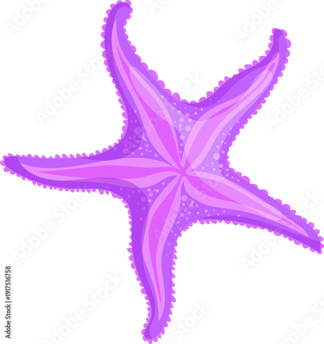 Sea star fish. Cartoon ocean starfish icon