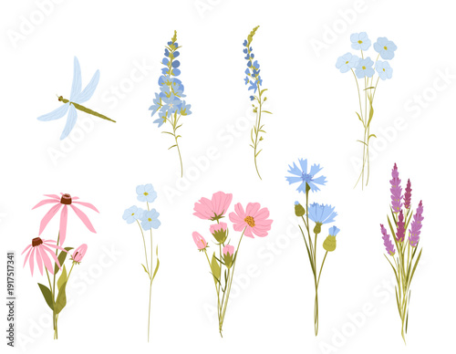 Wild Meadow Flowers and Garden Blooms with Bees and Dragonfly in Soft Pastel Botanical Style.