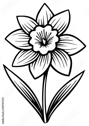 Black and white illustration of a daffodil flower