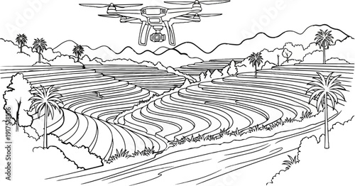 Drone flies above lush terraced fields and palm trees in a mountain landscape