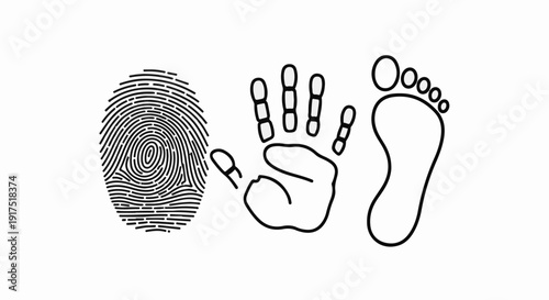 Fingerprint, handprint, and footprint in black outline on a white background