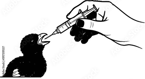 Hand feeding medicine to a baby bird with a syringe