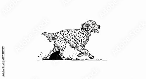 Monochrome sketch of a spotted dog in motion over grassy ground