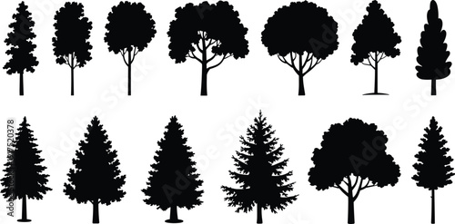 Tree silhouette collection vector set, deciduous and evergreen forest trees isolated on white background, nature landscape design elements