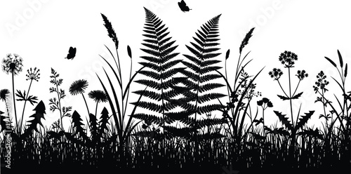 Wild meadow grass and fern silhouette landscape, black and white vector illustration with butterflies and blooming plants isolated on light background