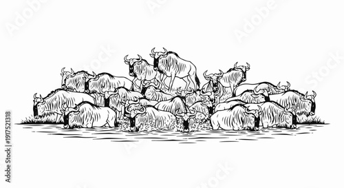 Herd of wildebeest gathered at the water's edge, drawn in black and white