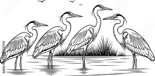 Four elegant wading birds stand in shallow water with birds flying above