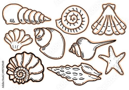 Seashell and starfish vector collection with hand drawn line art style. Set of various marine shells and sea snail doodle isolated on white