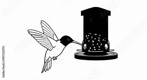 Hummingbird feeding from a bird feeder filled with seeds
