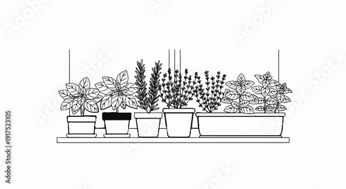 Line drawing of various potted plants including herbs on a shelf