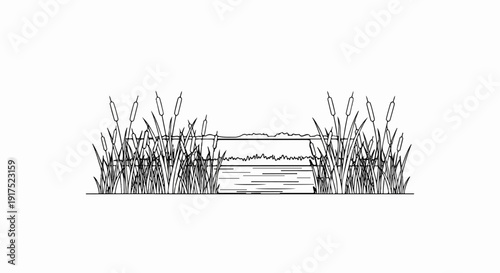 Linear illustration of cattails and a wooden walkway over water
