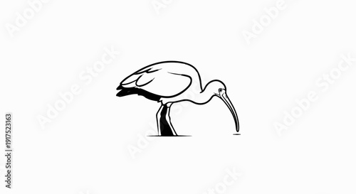 Minimalist black and white illustration of an ibis probing in water