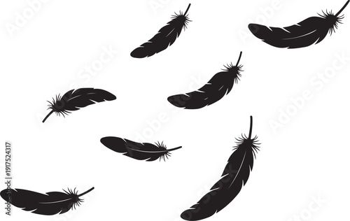 Black feathers falling gently against a white background scene