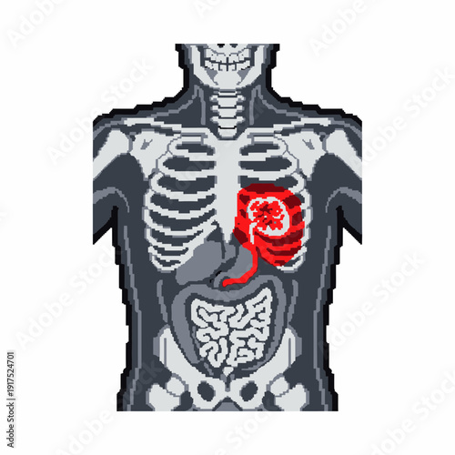 Human torso anatomy with highlighted red heart and internal organs.