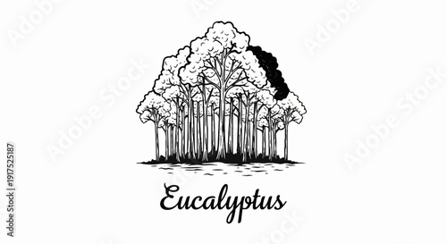 Hand-drawn grove of trees with foliage and trunks in black and white ink