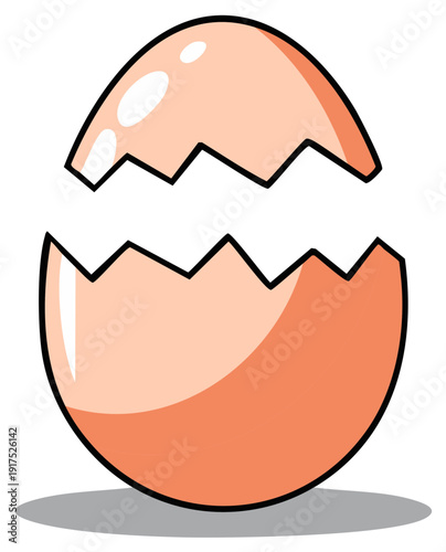 Open cracked eggshell revealing smooth inner surface against white background